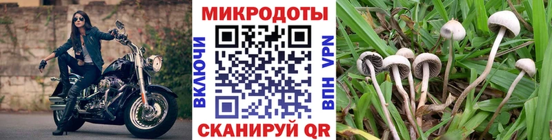 Псилоцибиновые грибы MAGIC MUSHROOMS  блэк спрут ССЫЛКА  Вяземский  купить наркотики цена 